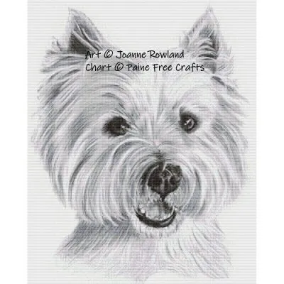 (image for) Buster the Westie